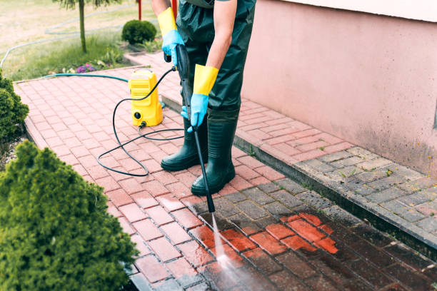 Best Solar Panel Cleaning  in Grove City, FL
